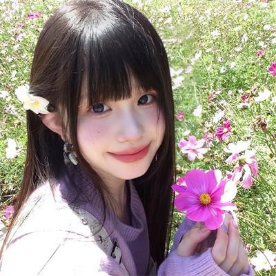 狐狸之声国语