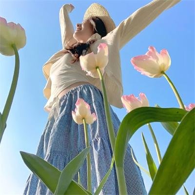 野马梅莎